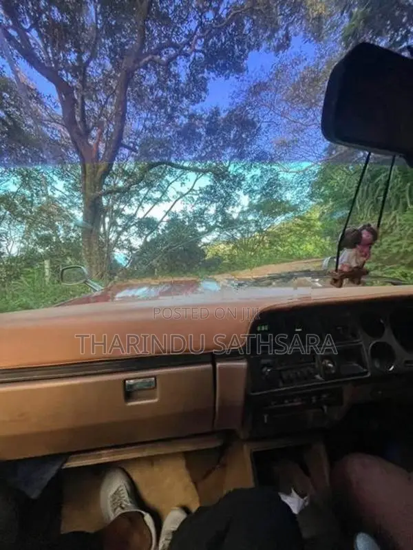 Nissan Dutsun 1979