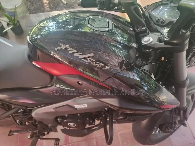 Bajaj Pulsar NS200 2025