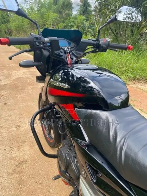 Bajaj Pulsar 150 2010
