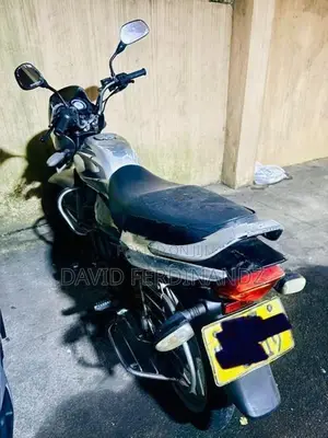 Bajaj Platina 2006