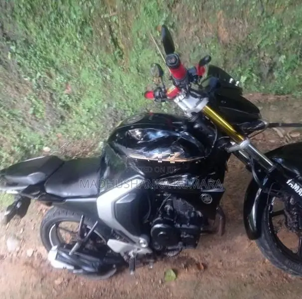 Yamaha FZ S 2016