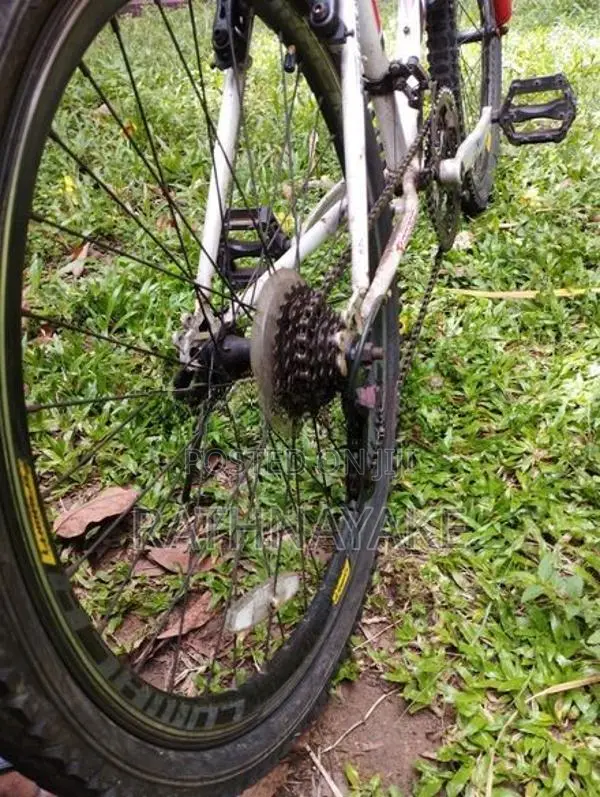 Lumala Xpress Mountain Bike
