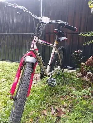 Lumala Xpress Mountain Bike