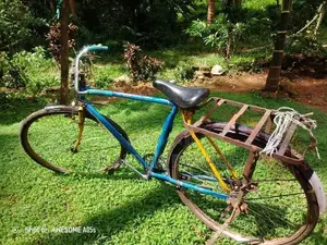 පා පැදිය