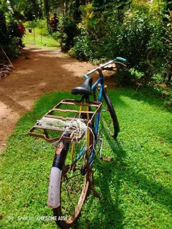 පා පැදිය