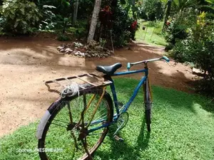 පා පැදිය