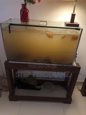 Fish Tank, Stand, 2 Oxygen With Fish
