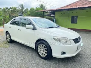 Toyota Axio 2008
