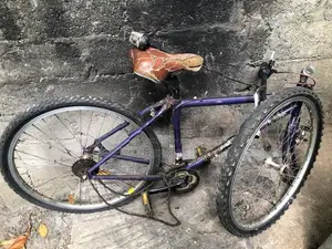Japan Bike