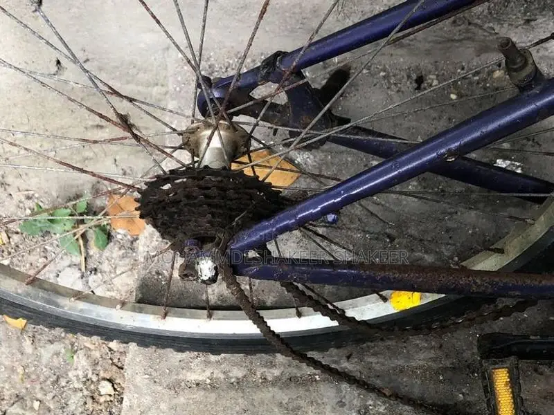 Japan Bike