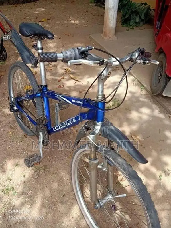 Bicycle