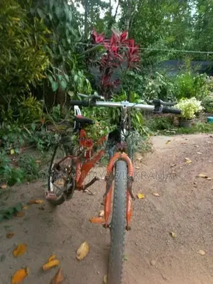 Mountain Bicycle