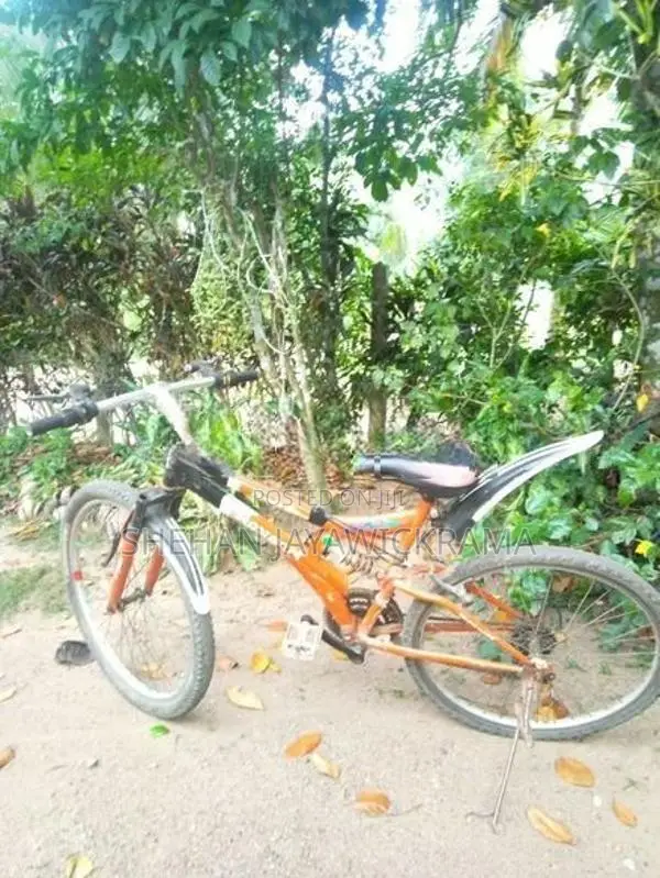 Mountain Bicycle