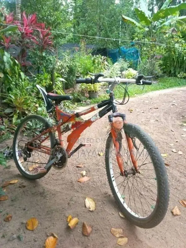 Mountain Bicycle