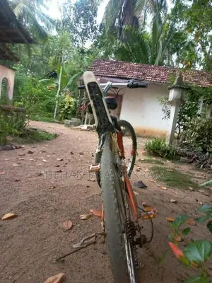 Mountain Bicycle