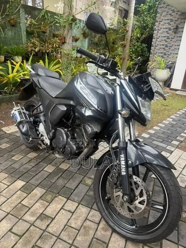 Yamaha FZs V2 S 2019