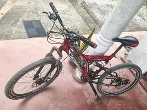 Dsi Bicycle