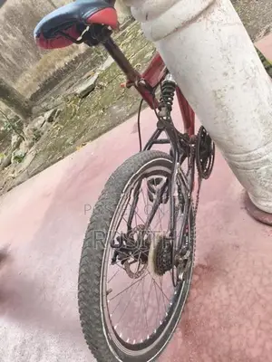 Dsi Bicycle