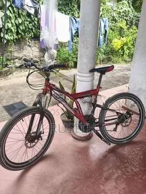 Dsi Bicycle
