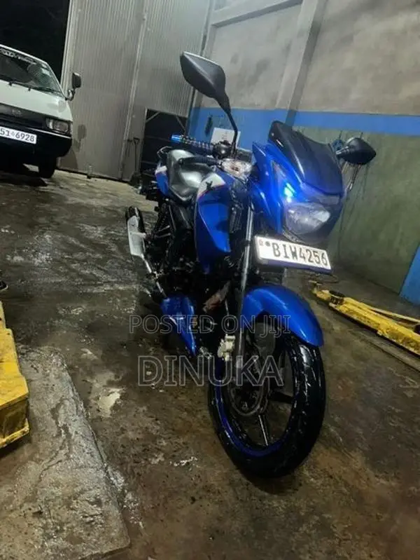 TVS Apache RTR 160 2019