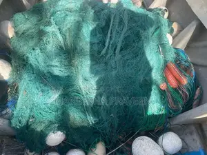 Podi Boottu
