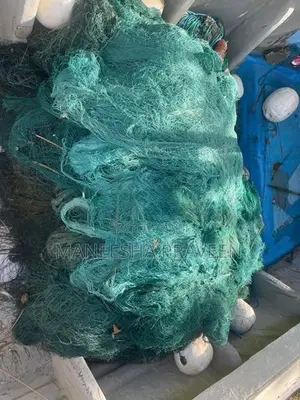 Podi Boottu