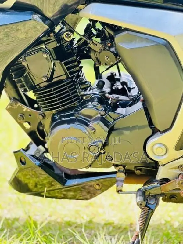 Yamaha FZ V2 2018