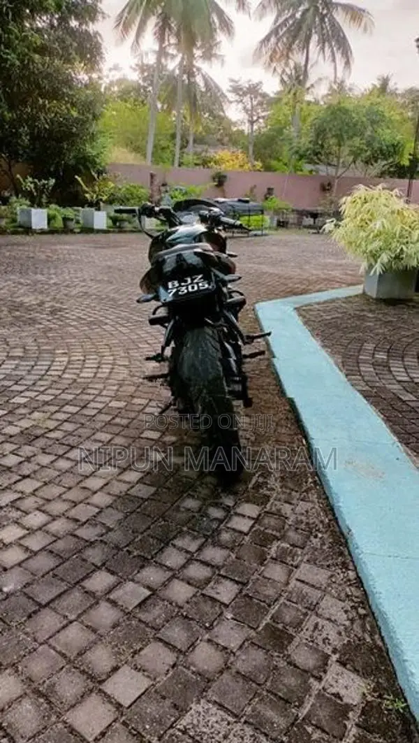 Bajaj Pulsar NS200 2026
