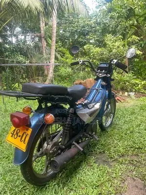 Singer Safari 2018