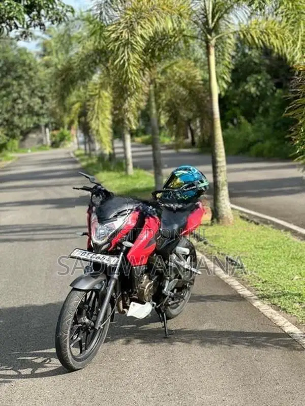 Bajaj Pulsar NS160 2016
