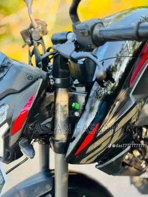 Bajaj Pulsar NS200 2025