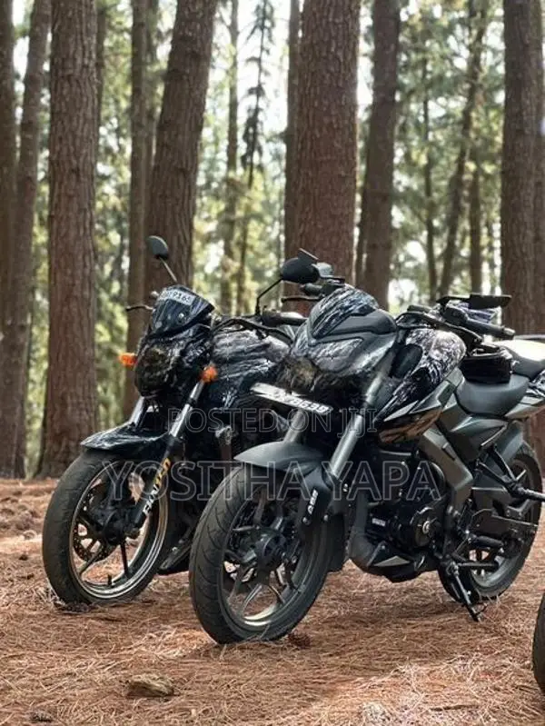 Bajaj Pulsar NS200 2026