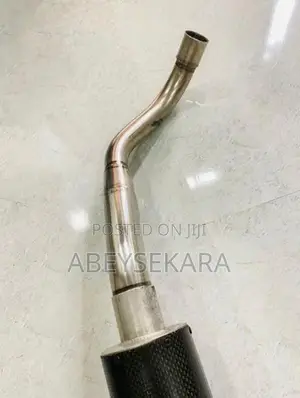 Hornet Silencer WRS Carbon Fiber