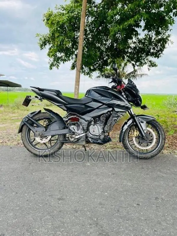 Bajaj Pulsar NS200 2019