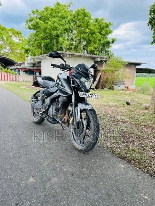 Bajaj Pulsar NS200 2019