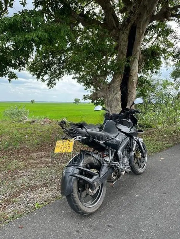 Bajaj Pulsar NS200 2019