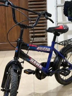 Hawk Bicycle