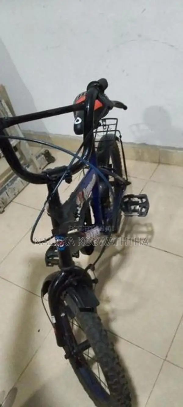 Hawk Bicycle