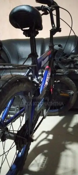 Hawk Bicycle
