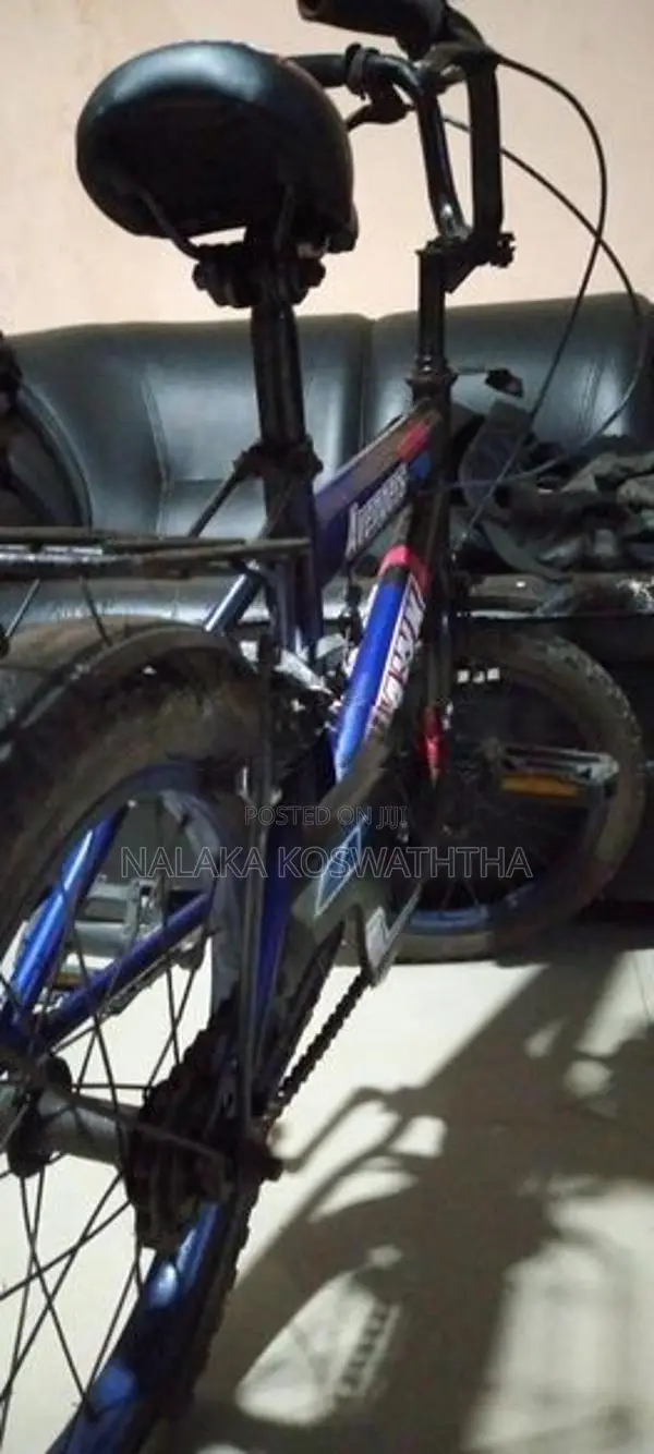 Hawk Bicycle