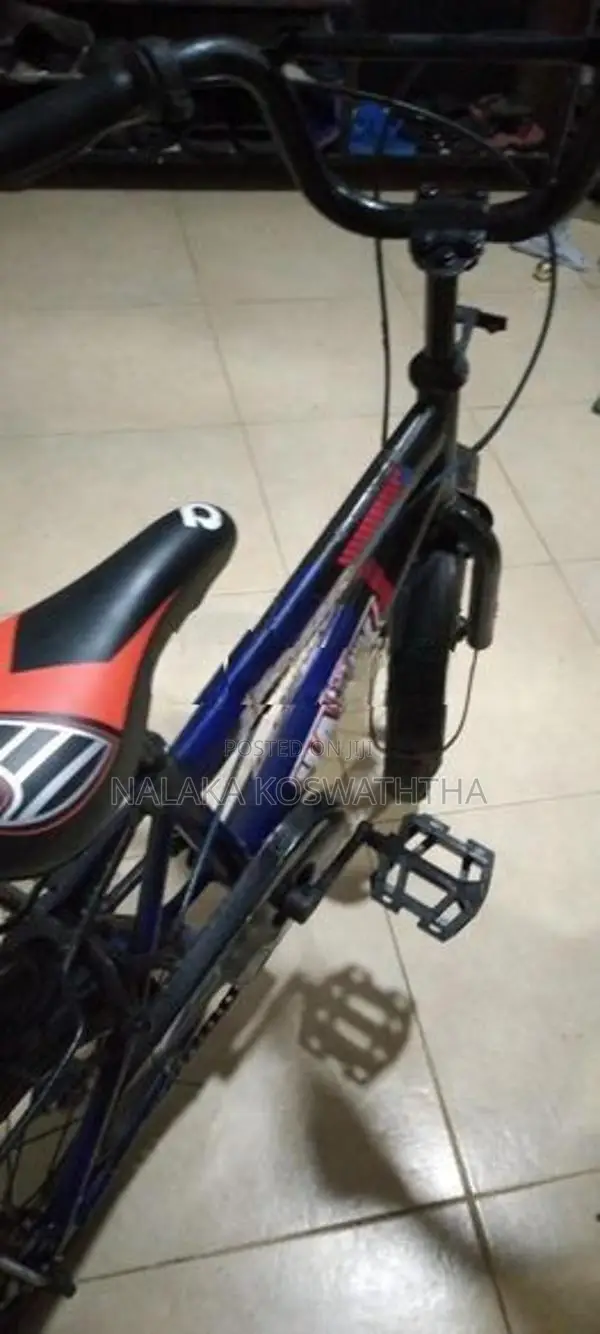 Hawk Bicycle