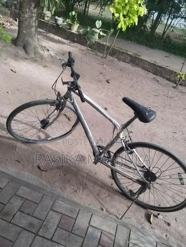 activecycle(shimano)