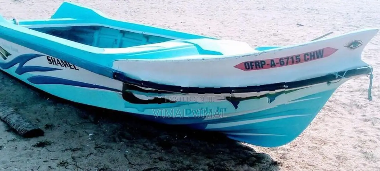 Suzuki Boat
