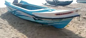 Suzuki Boat