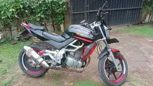 Demak DZM 2015