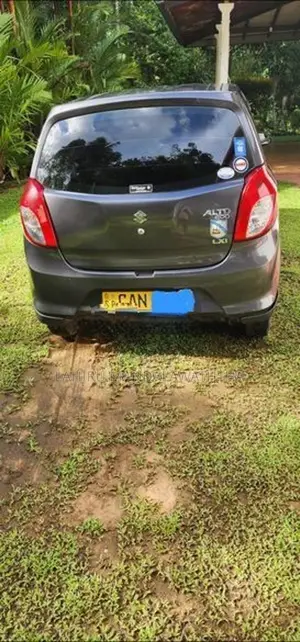 Suzuki Alto 2015