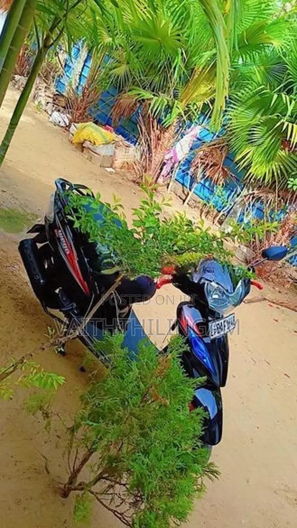 TVS Wego 2013