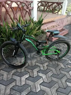 Lumala Lumstar Dual Suspension Mountain Bicycle