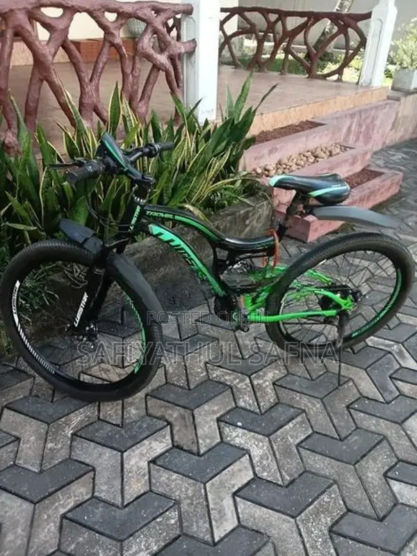Lumala Lumstar Dual Suspension Mountain Bicycle