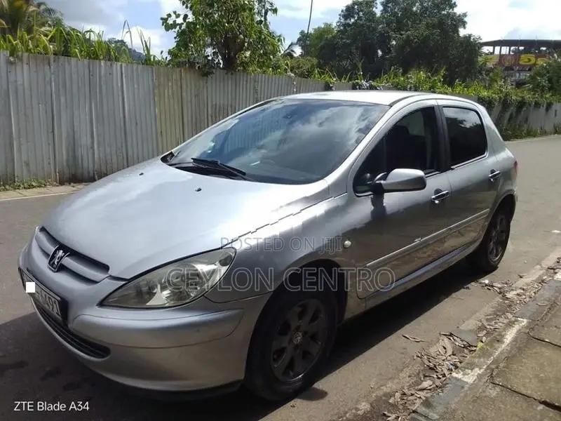 Peugeot 307 2002